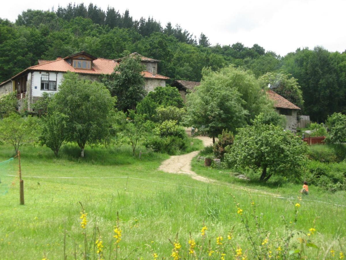 Torre Tanquian Eco Finca - Ribeira Sacra 판톤 외부 사진